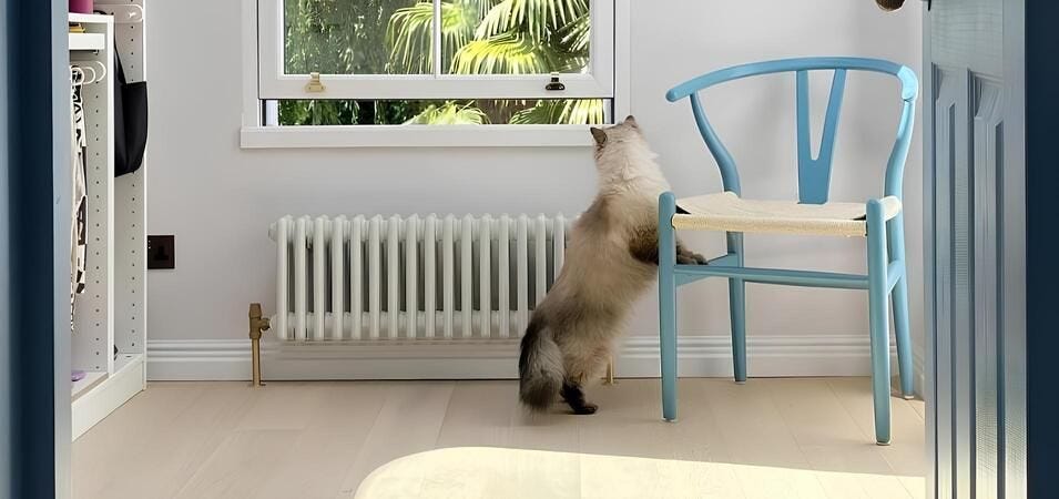 Trade Radiators featured on Express.co.uk