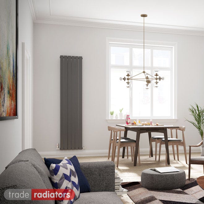 Anthracite Vertical Radiator installed in a contemporary living/dining room and positioned next to a window.