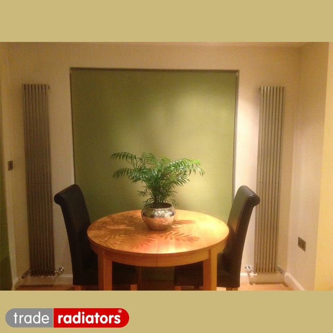 Chrome Vertical Radiator