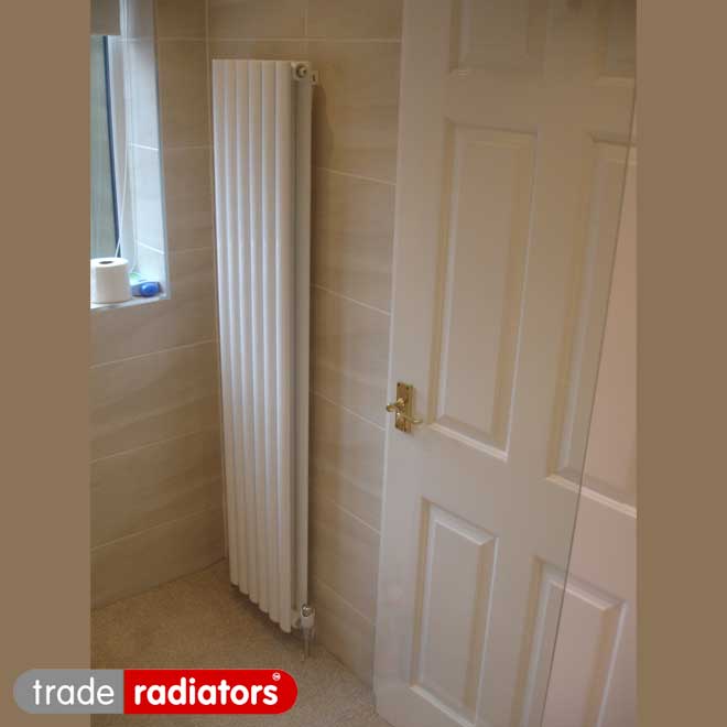 White Nevo Vertical Radiator in a small bathroom