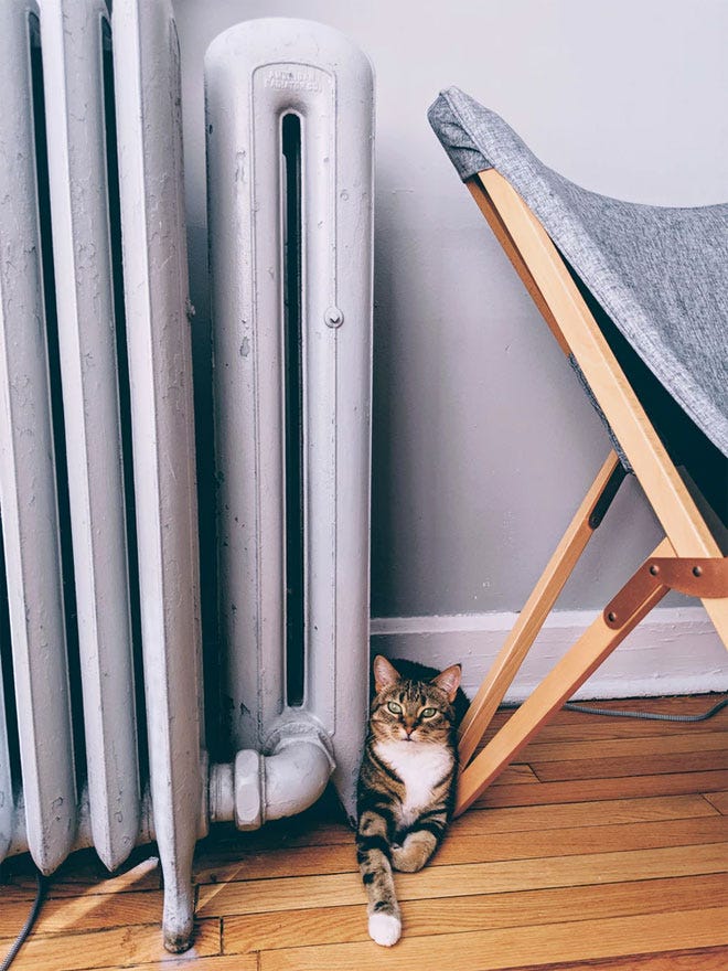 A comfortable tabby cat squeezed into a small space between a radiator and a chair on a wooden floor - Hygge | Unsplash.com