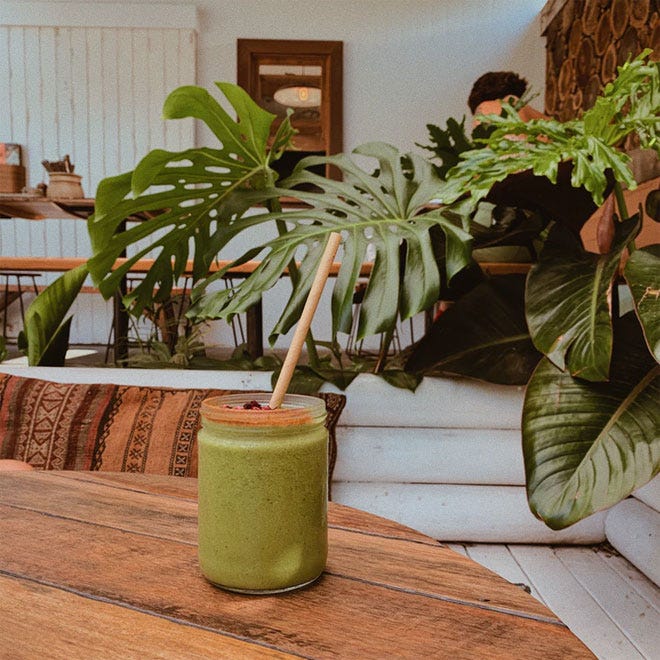 An home interior with a nice green indoor plant