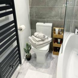 Electric Towel Radiators