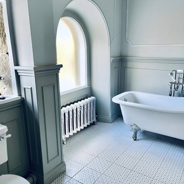 Paladin Shaftsbury, 2 Column Cast Iron Radiator, 540mm x 963mm - 10 sections
