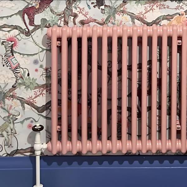 DQ Modus, 2 Column Horizontal Radiator, Light Pink, 600mm x 1220mm