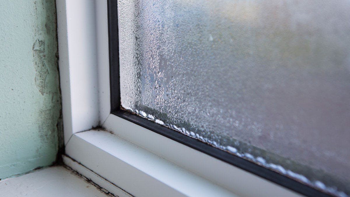 A bathroom window with condensation and damp