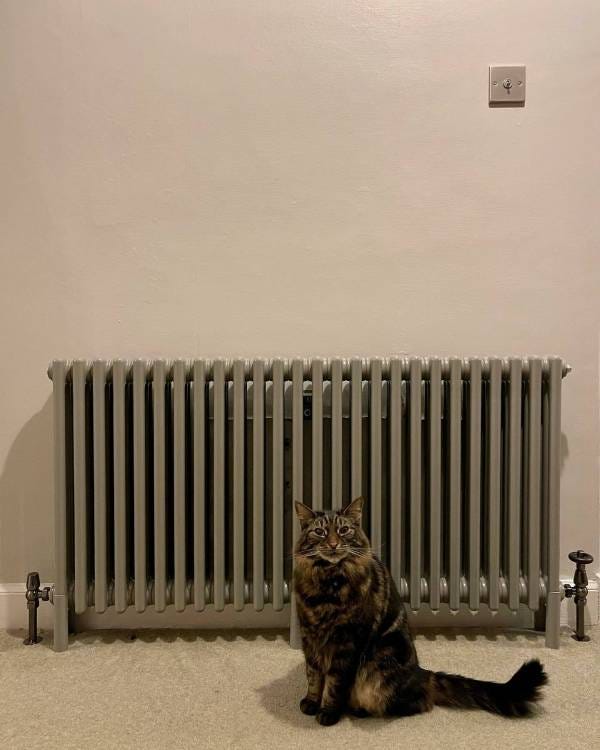 DQ Modus, 3 Column Horizontal Radiator, Stone Grey, 600mm x 1220mm
