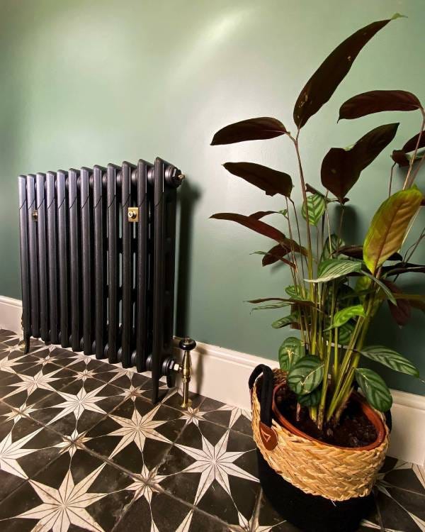 Black cast iron radiator next to a plant in a hallway